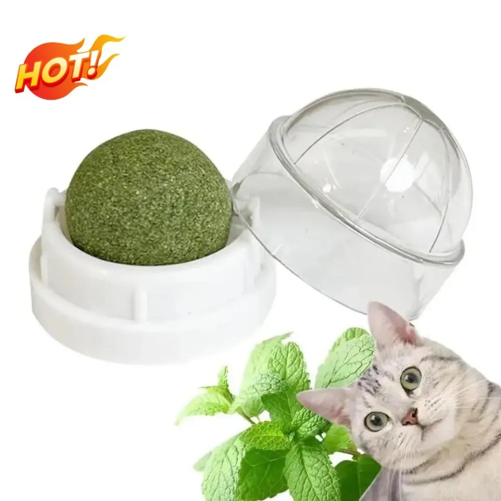 Juguete de Pared para Gatos con Catnip Natural, Bolas Adhesivas, Rascador, Golosinas Saludables, Ayuda para la Digestión, Hierba para Gatos, Diversión y Juego