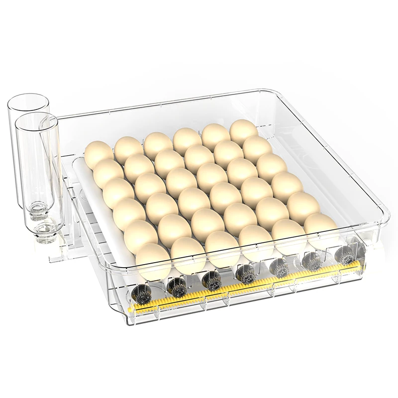 WONEGG Single Layer 48PCS Breeding Incubators Quail Chicken Egg Incubator