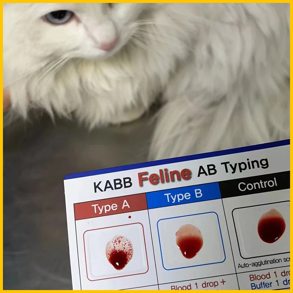 Imagem -02 - Caixa Peças Profissional Descartável Gato Cão tipo de Sangue Cartão Identificação Tira Kit Raid Hemolysis Verificação Felino Canino 1