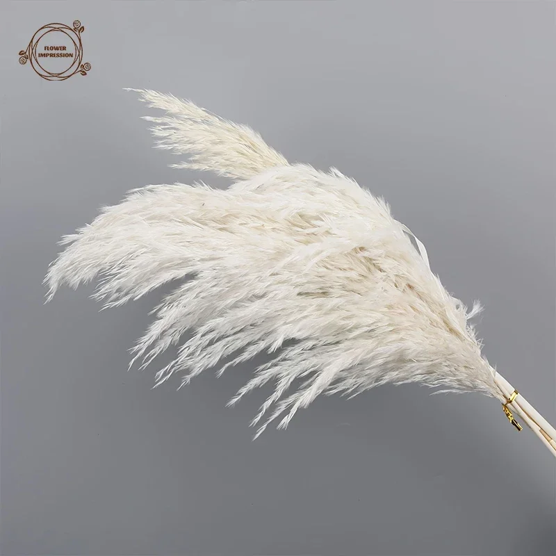 Natural White Pampas Grass Decor Dried Flowers Farmhouse Boho Home Tables Decoration Christmas Party Supplies Artificial Flower