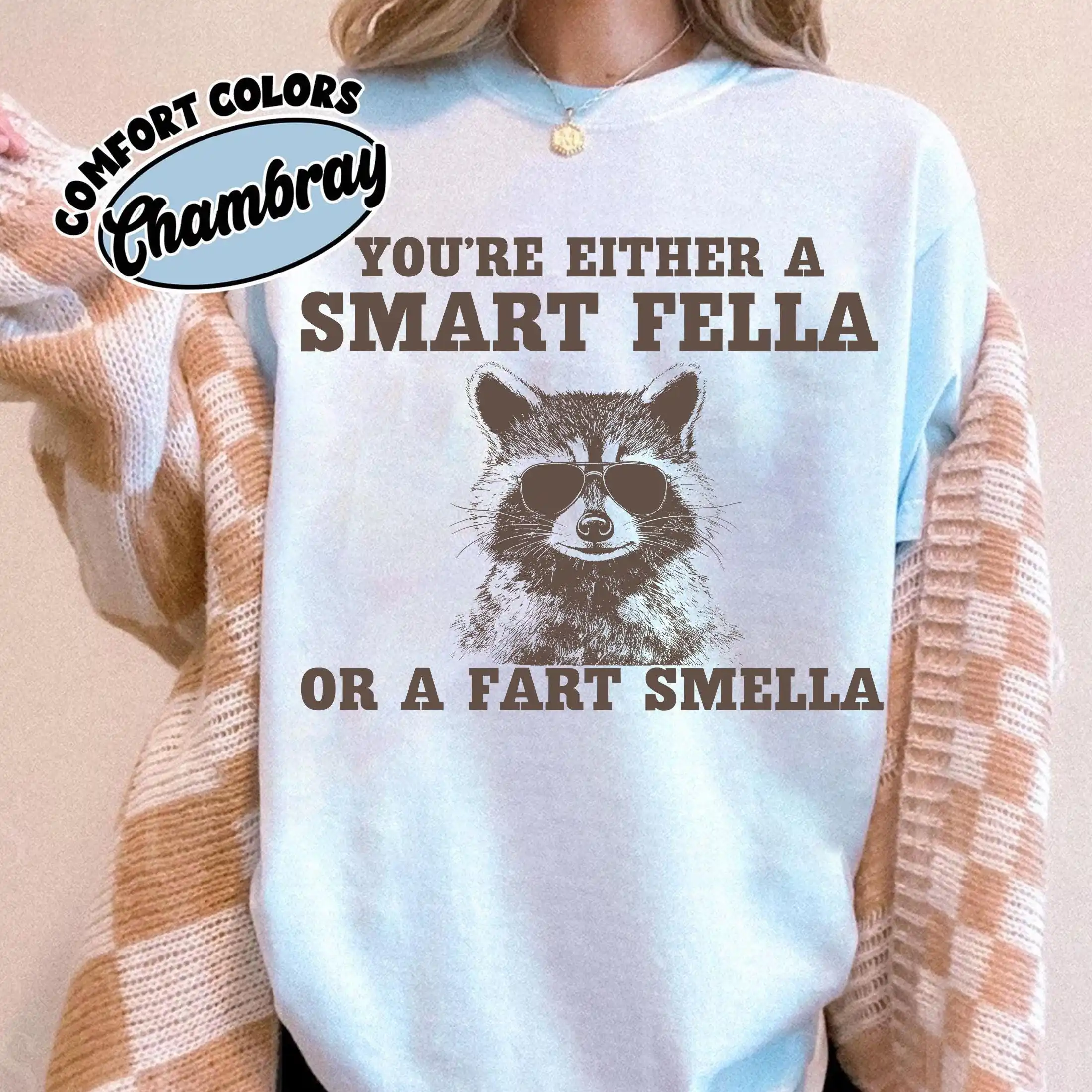 You’re Either A Smart Fella or A Fart Smella Shirt, Funny Raccoon Tee, Animal Humor Tee Shirt, Sarcastic Graphic T-Shirt, Gift
