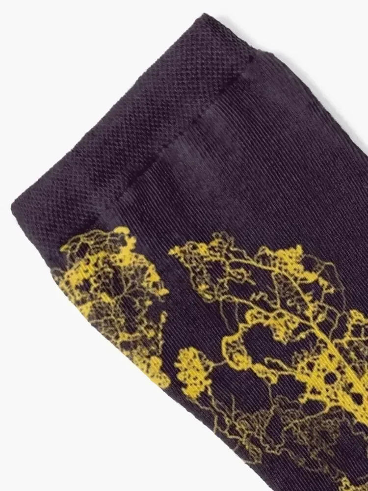 Physarum Polycephalum III الجوارب الجري المألوف الثلوج تشغيل النساء الجوارب الرجال هدية سعيدة عدم الانزلاق الجوارب فتاة الرجال #2