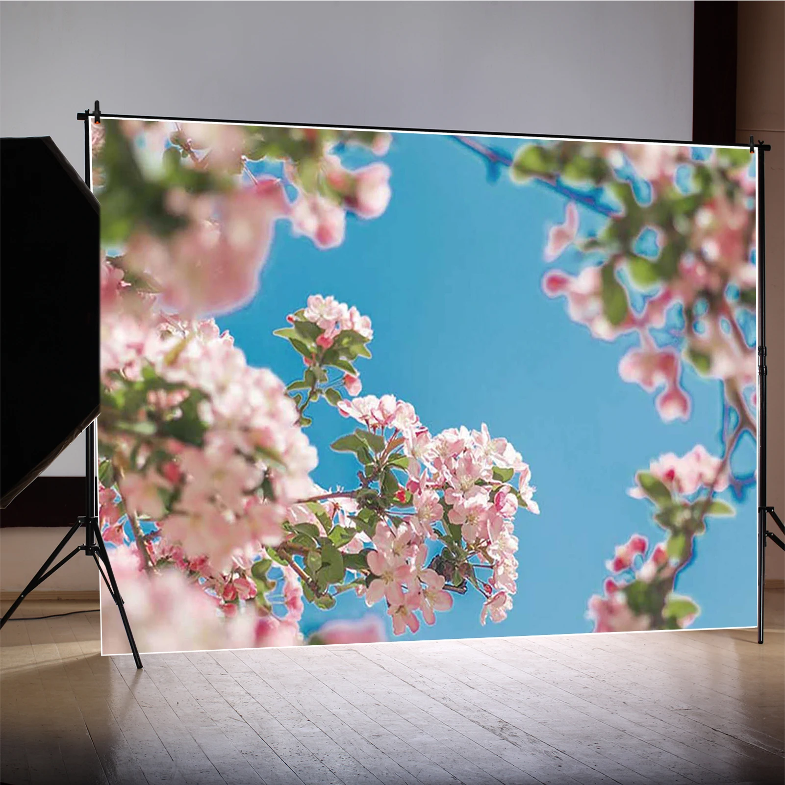 MOON.QG Latar Belakang Dekorasi Rumah Mekar Bunga Sakura Musim Semi Latar Belakang Fotografi Langit Biru Alam Cabang Bunga Merah Muda