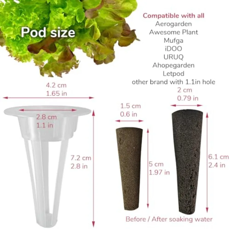 20-pod Seed Kit Lettuce Salad Green for AeroGarden, Mufga, iDOO and Other Indoor Hydroponic Gardens - 20 Grow Sponges, Baskets,