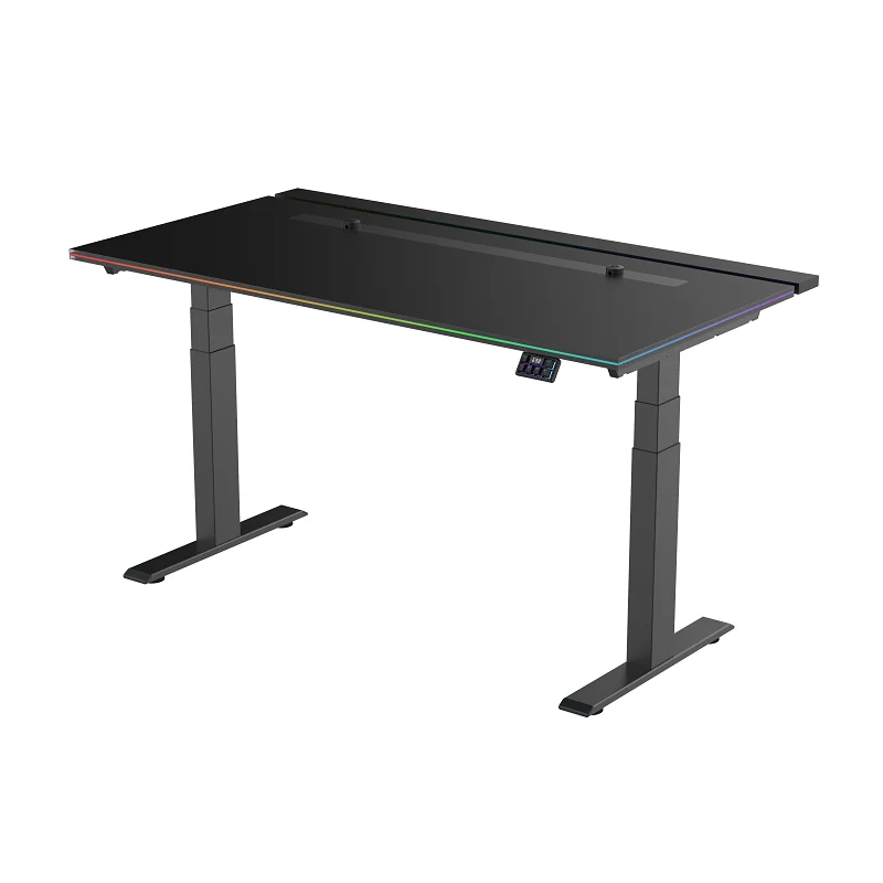 Modern  Ergonomic Dual Motor Multifunction Electric Height Adjustable Gaming Desk