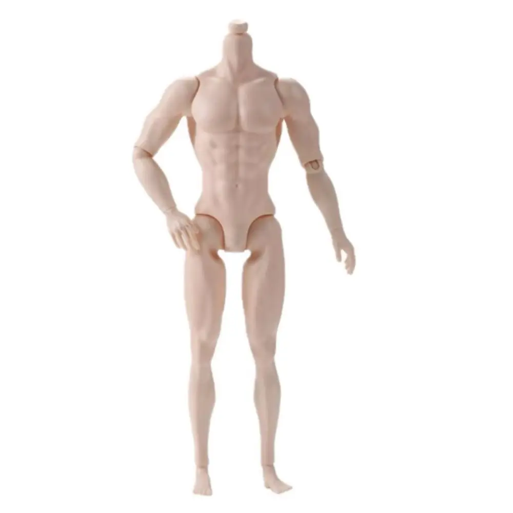 Blanc/Normal/Tan 1/6 poupée masculine homme fort multi-articulaires modèle masculin 13 Joint 35cm hauteur figurine corps Collections
