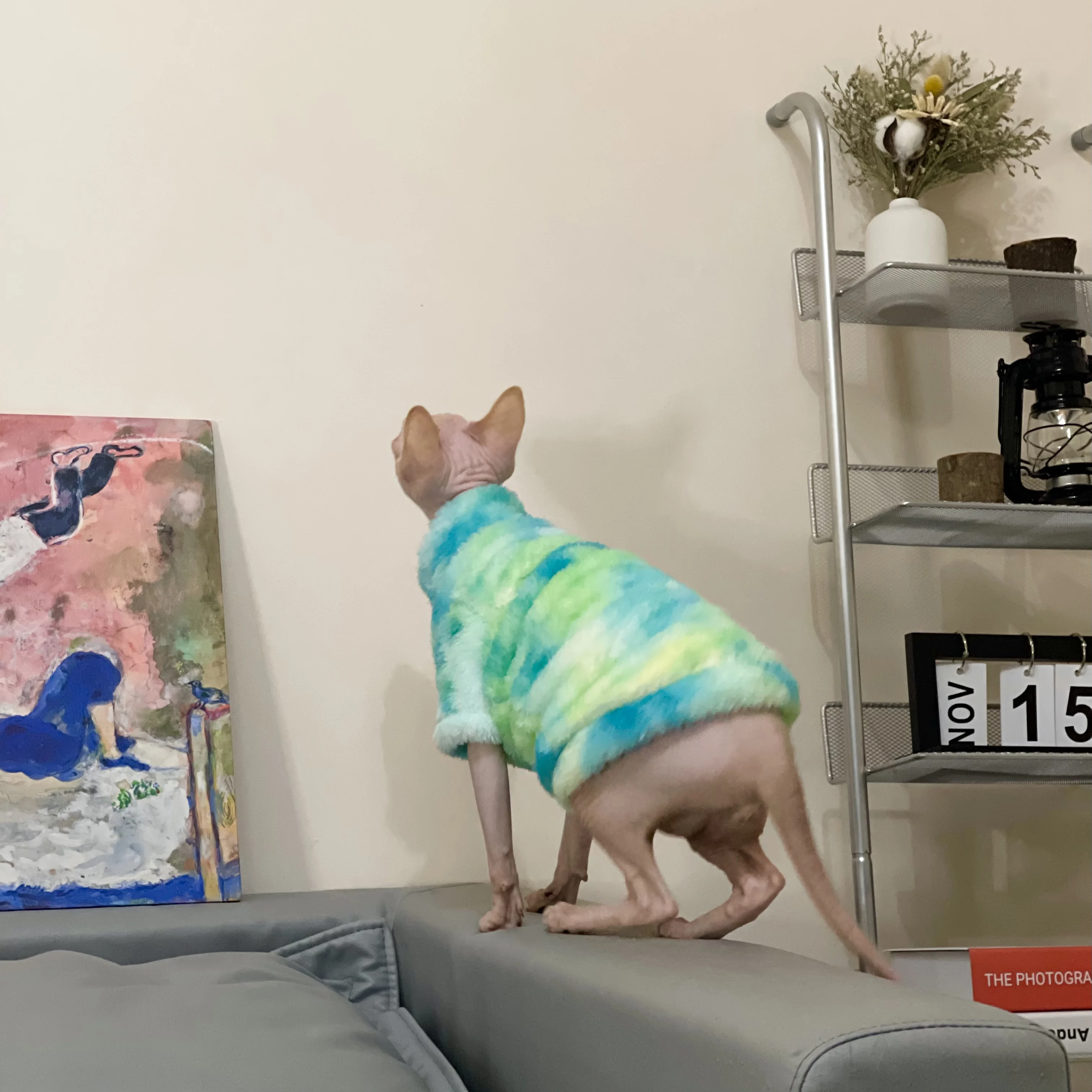 Rainbow Warm Sphynx Cat Turtleneck Sweater Hairless Cat Clothes Soft Winter Coat Thickening Sweet Fleece Jumpsuit for Kittens