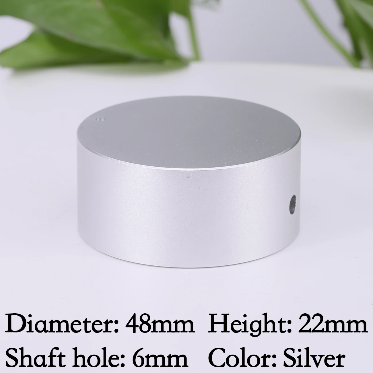 48x22mm Silver 1PC