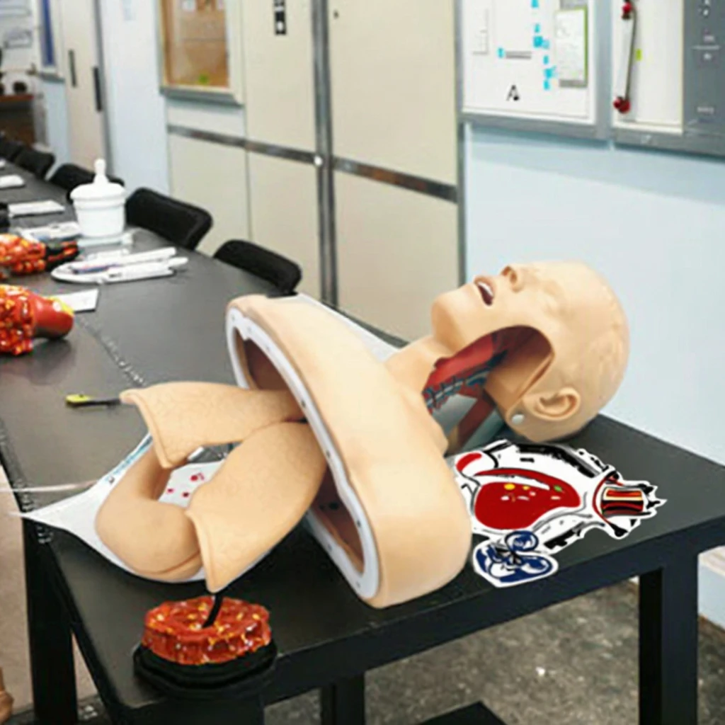 Electronic PVC Tracheal Intubation Model With Alarm Device