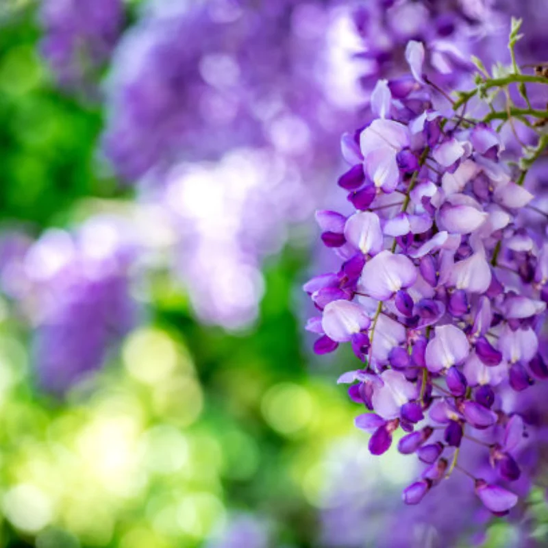 

RBR/C MN99SK Four-Wheel Drive 4WD Off-Road Climbing Car Upgrade KIT Version Turn Signal Remote Control RC Car Toys Model