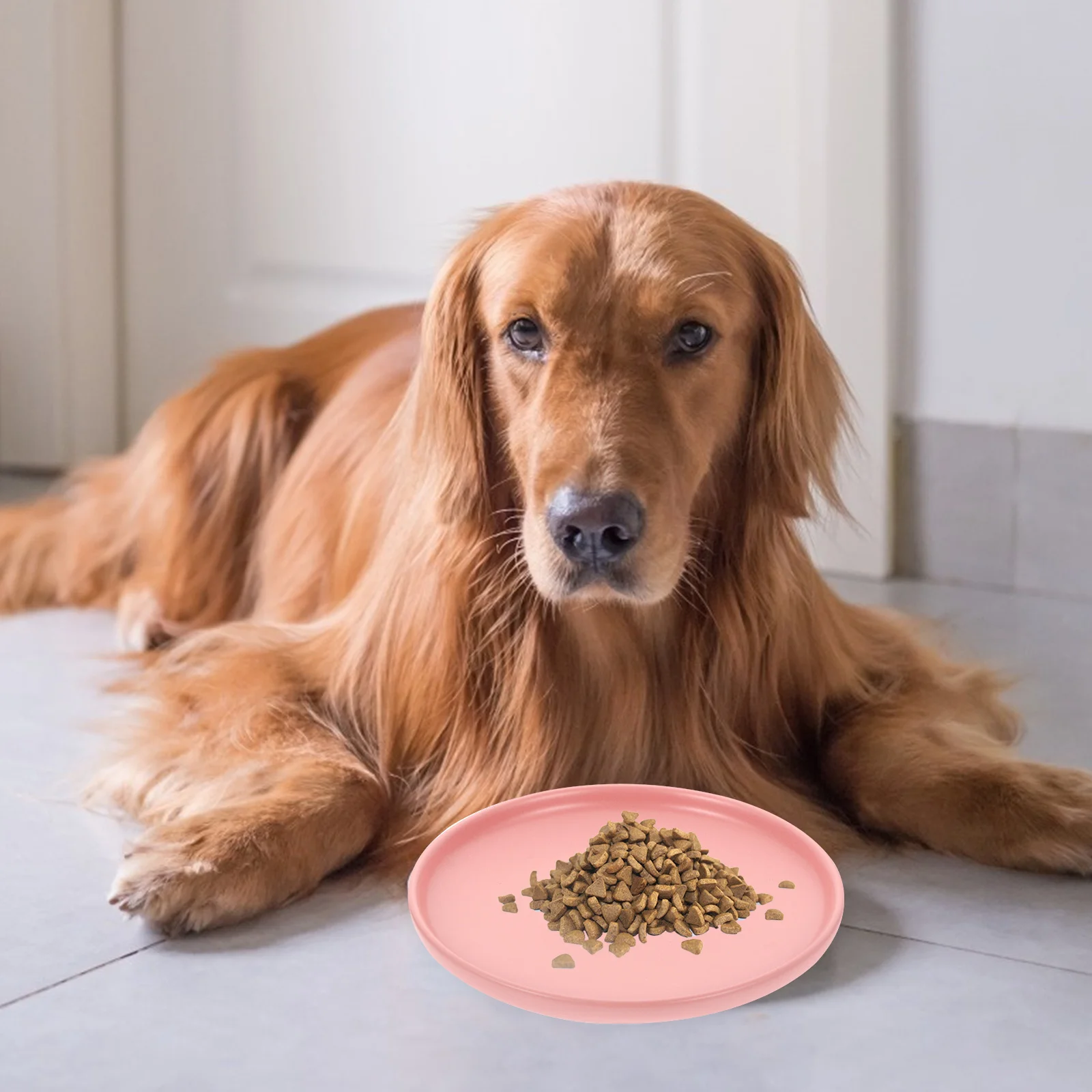 

Shallow Ceramic Cat Dish Feeding Bowl Durable Non Spill Pet Bowl Safe for Dry Wet Food Treats Easy Wash Cat Dish