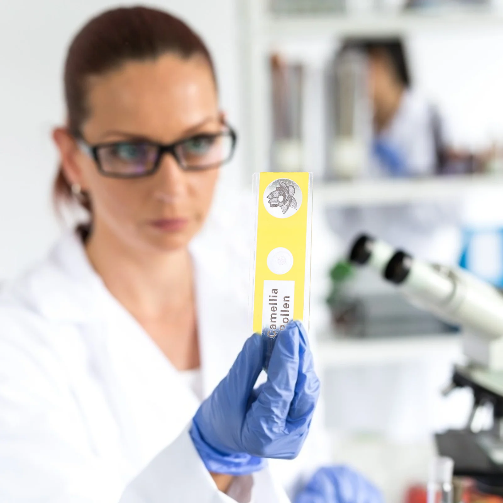 ชุดสไลด์ไมโครสโคปสำเร็จรูป 12 ชิ้น ทำจากพลาสติก สีเหลือง สำหรับเด็ก ศึกษาชีววิทยา