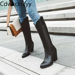winter The New fashion Pointed Thick heel Tall tube Knight boots Plus cashmere Keep warm High heel Women boots plush size 34-43
