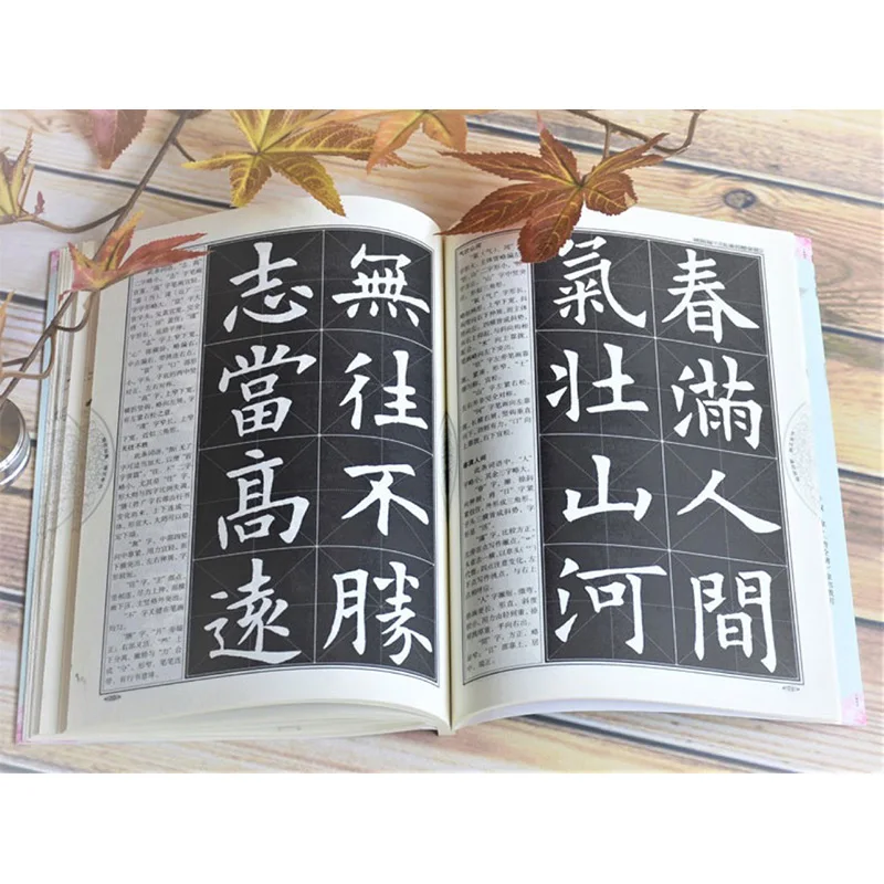 Brush Calligraphy Textbook Beginner Practice Calligraphy Training Books And Notebooks For Writing Copy Stroke Structure Tutorial