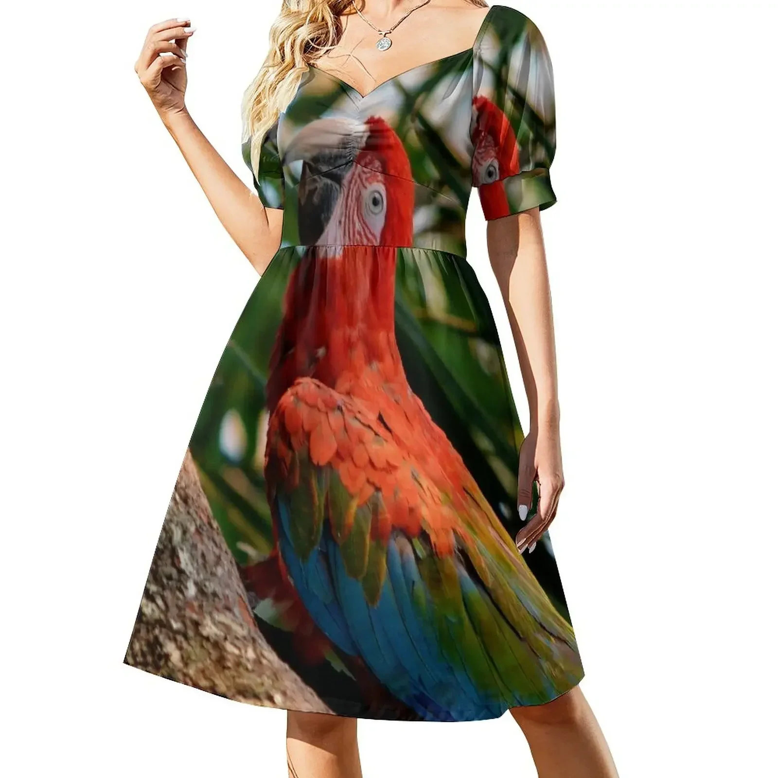 

Ara red-and-green macaw Sleeveless Dress wedding dresses for parties Women's clothing Elegant gowns Dress