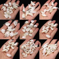 5pcs Multiple Shape Natural White Shell Pendant Mother of Pearl Shell Pendant Charms for Jewelry Making DIY Necklace Accessories