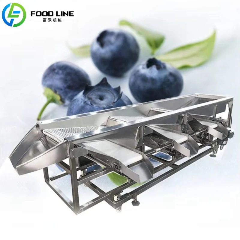 Customized Fruit and Vegetable Sorting Machine Fresh Blueberry Diameter Grading Machine/ Mesh Belt Blueberry Sorting Machine