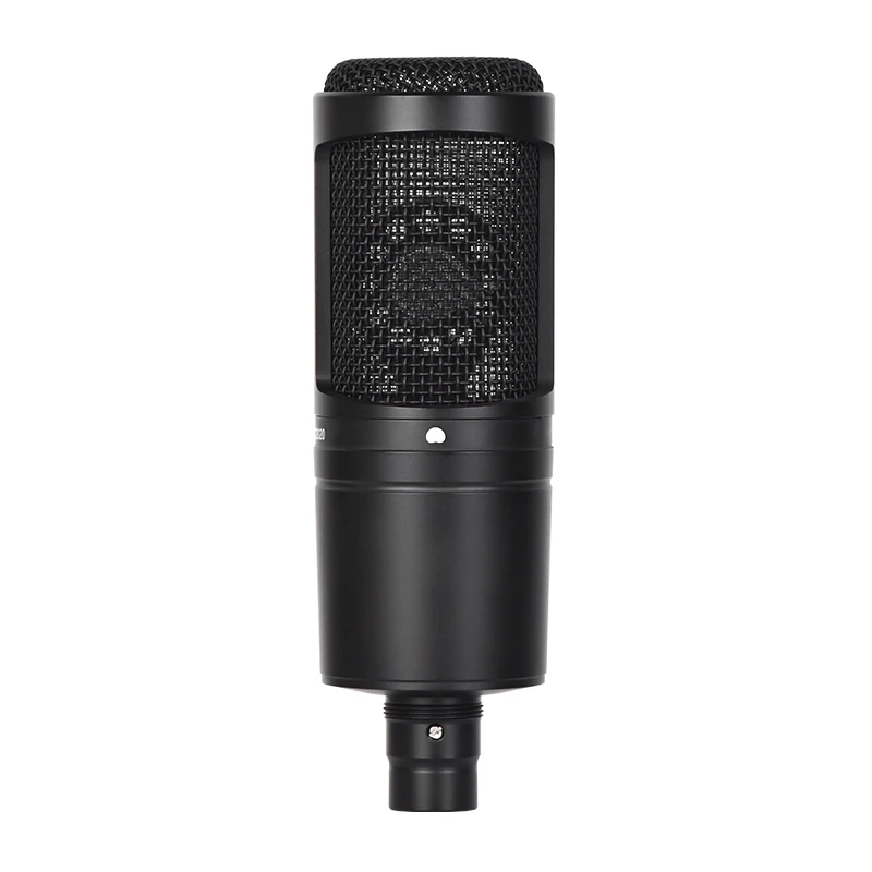 

At2020 Condenser Microphone Set, Xlr High-Definition Sound Pickup Professional Version, Compatible with 48V, Suitable for Profes