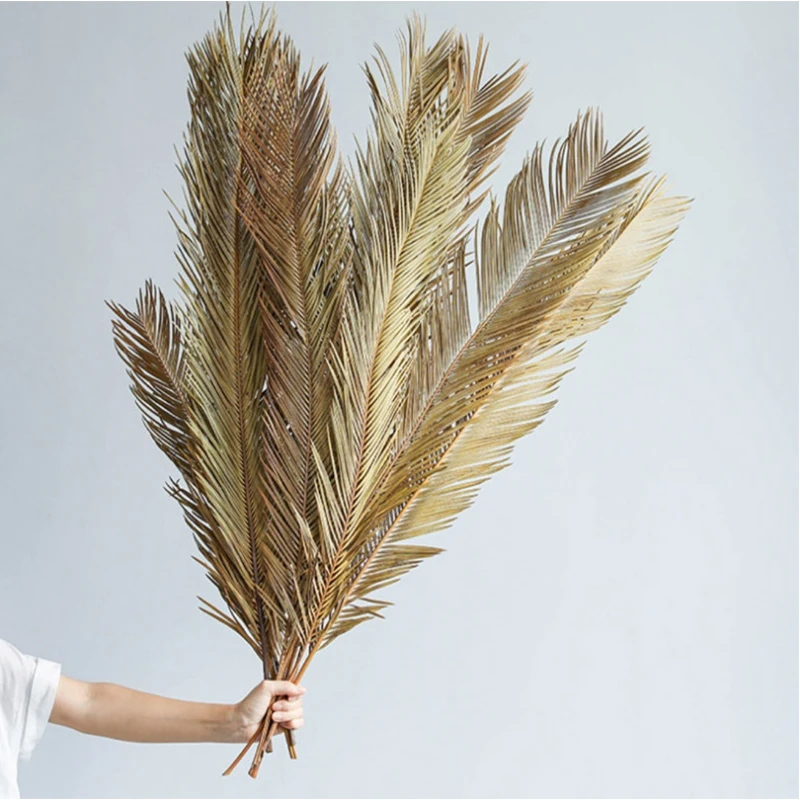 1pc  Dry Palm Fan Leaves Sago Cycas Branch Dried Natural Flowers Fruticose Dracaena Party Art Wall Hanging,Wedding Decoration