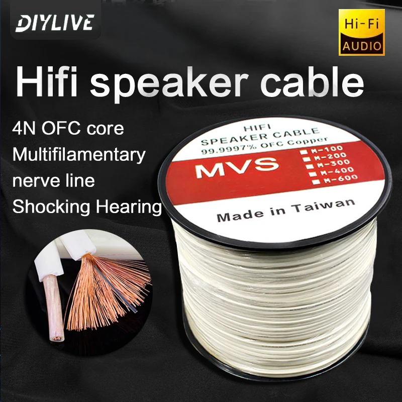 DIYLIVE HiFi Speaker Line for Home Cinema Car Renovation Power Amplifier Embedded Surround Sound HIFI Audio Cable