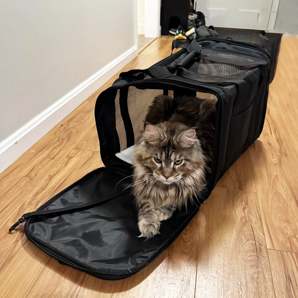 Thumbnail 4 - #48 Best Dog Backpacks to Buy In 2026