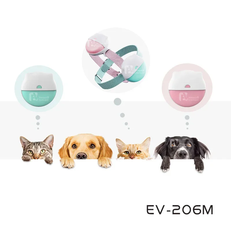 Suivi de localisation GPS pour animaux de compagnie leader sur le marché EV206 4G persévérance CAT-M1 GPS chien et chat Finder