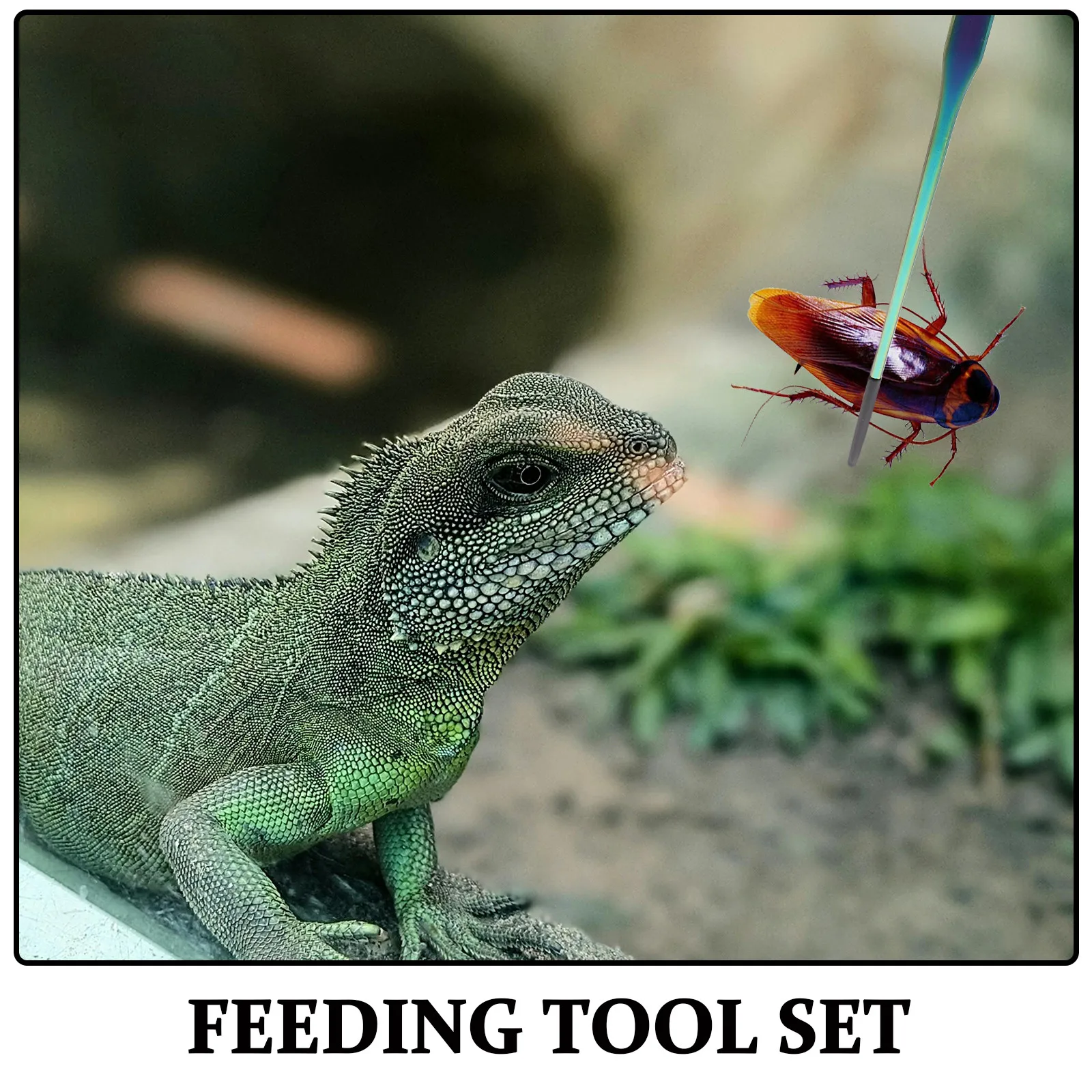 2Pcs Stainless Steel Reptile Feeding Tongs Set Straight Curved Tweezers Precision Feeding Tool for Geckos Lizards Bearded