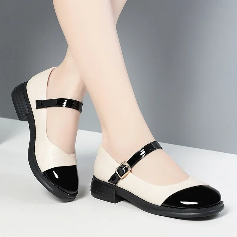 

3cm Mix Color Shallow Mary Janes Women's Pumps 2024 Spring Square Heels Leather Shoes New Fashion Office Work Dance Shoe