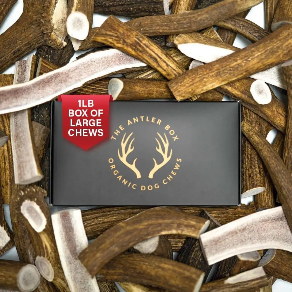 

Large Elk Antler Dog Chews, 1 Pound Box, Mixed Whole/Split Pieces