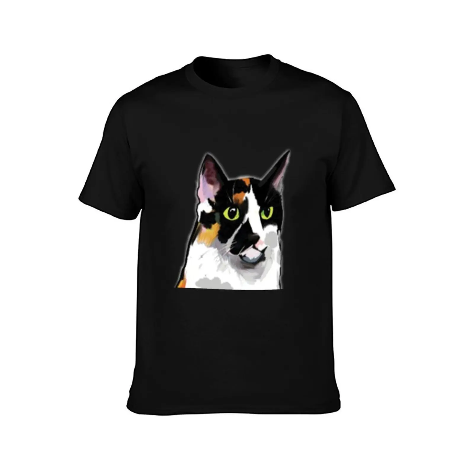 Old Grumpy Meow Face T-Shirt Holiday Simple Tee Shirt