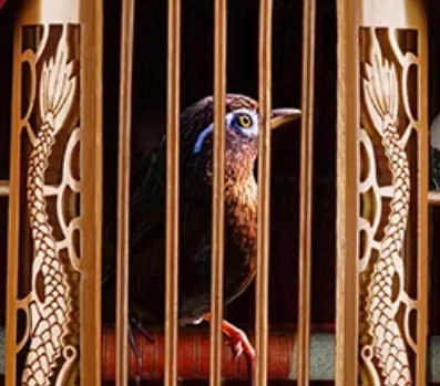 Birdcage Old Bamboo Full Set of Boutique Bamboo Large Hand Hollow Carving