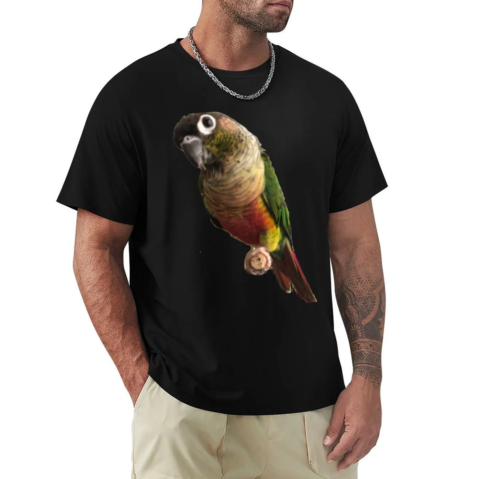 Green Cheek Conure design Conure Small Parrot Parakeet Parrot lover T-Shirt t shirts for man slim fit T-Shirt