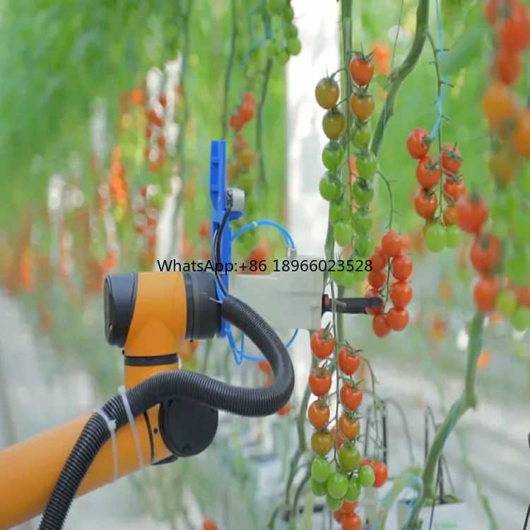 AUBO Collaborative Robot With Robotic Arm For Farm Delivery And Orchard Picking Flowers And Fruits As AGV Robot