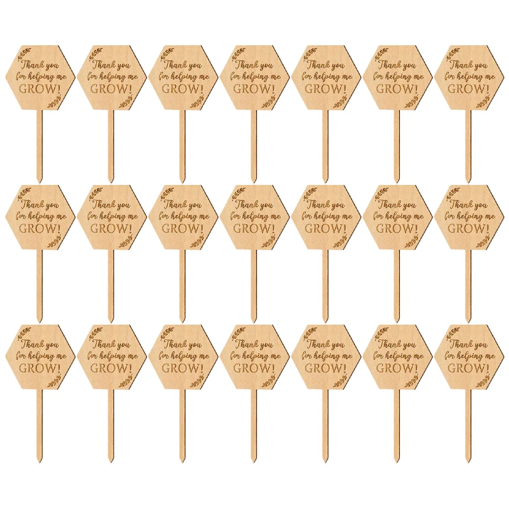 

40 Pcs Plant Succulent Card Baby Plants Nursery Labels Wood Pot Marker Garden Stakes