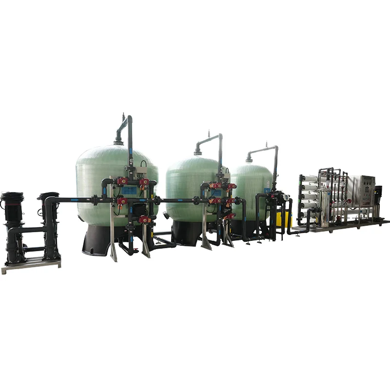 Customized Large Industrial Double-Stage RO Reverse Osmosis Water Treatment System Commercial Water Purification Plant