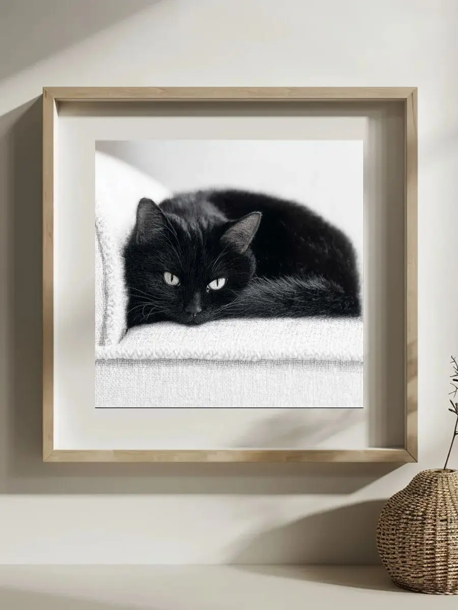 1 Stück 30X30CM/11,8 Zoll Die schwarze Katze auf dem Sofa Gestempeltes Kreuzstich-Set DIY-Set 11CT/14CT Öko-Baumwollfaden Neu eingetroffen – Detail 1