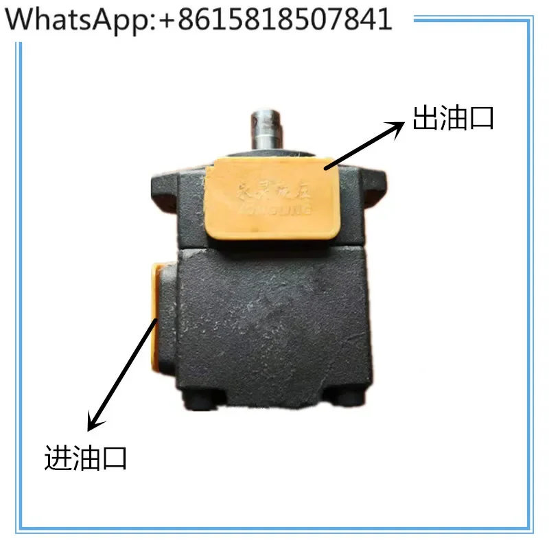 PV2R3-116F1/60/66/76/94/125/13YLC Xianju Yongling quantitative vane pump hydraulic oil pump