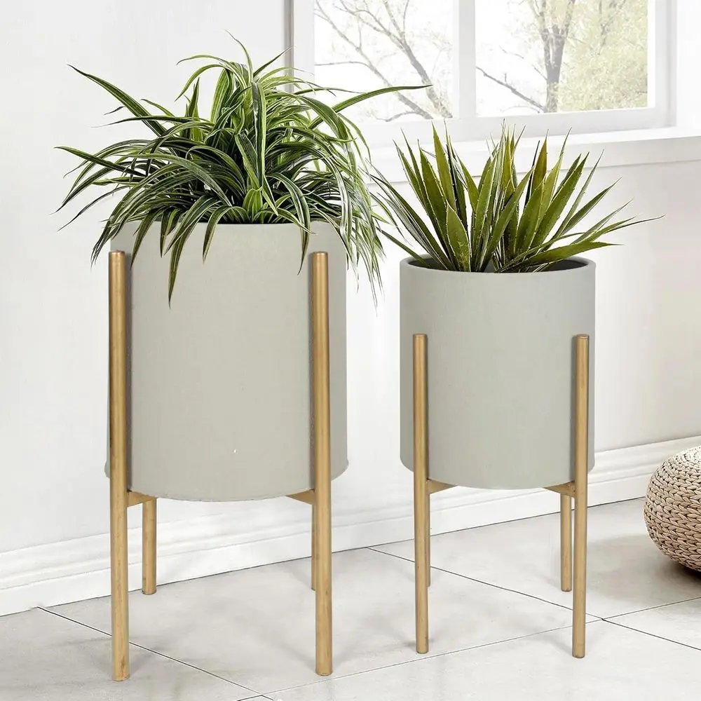 Plants Pots With St… - image