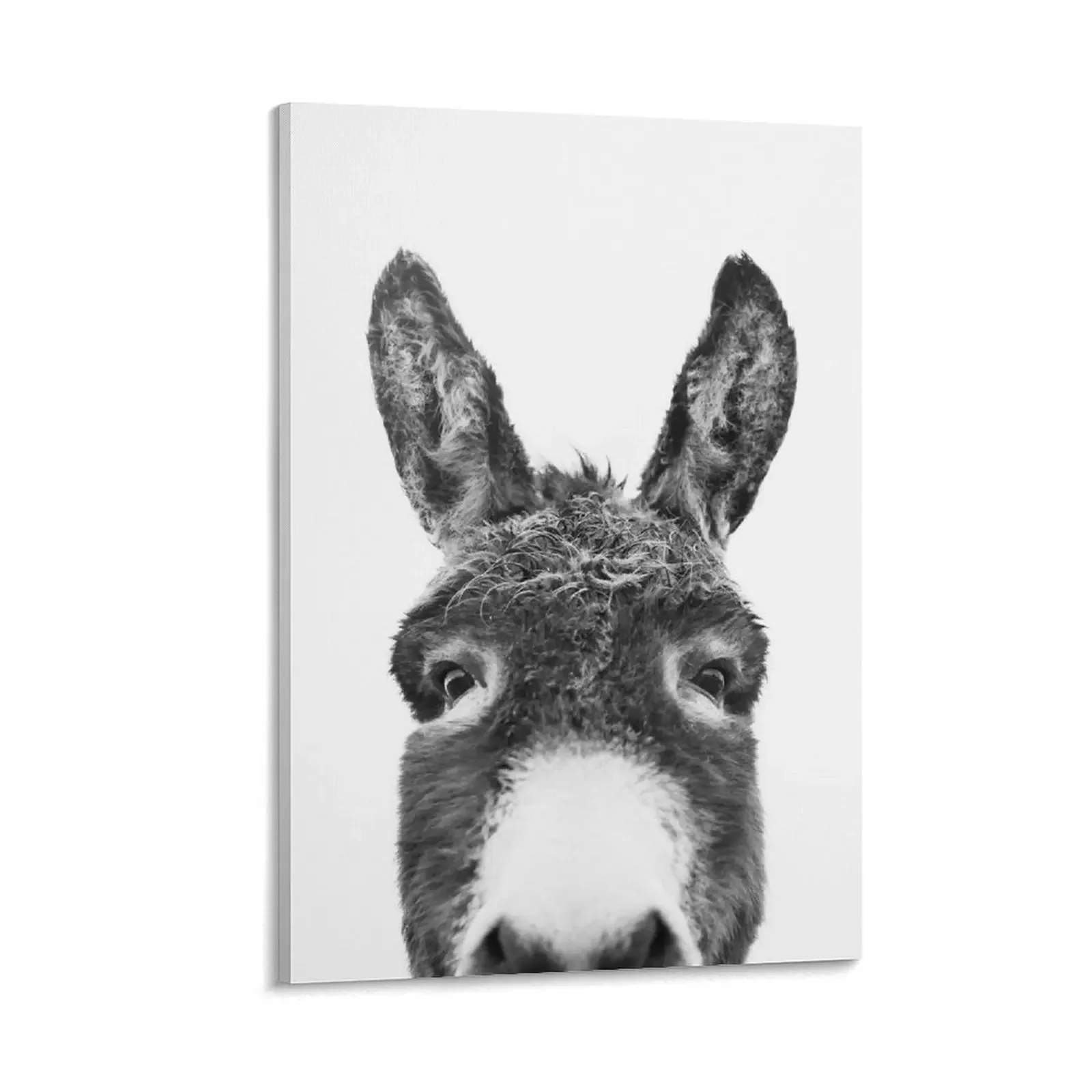 

Peeking Donkey Canvas Painting decorations for the room art mural Decorative prints wall painting fashion wall paintings