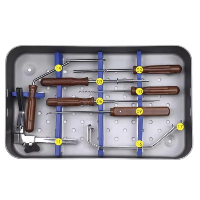 20252025High Quality Anterior Cervical Plates Instrument Kit And Screw Tray Set Set