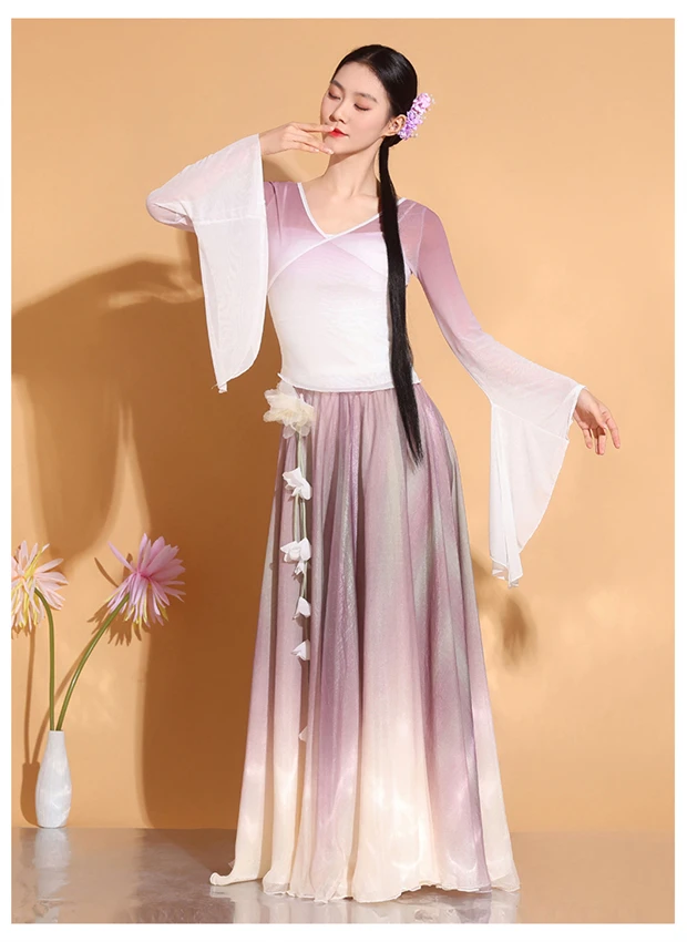 Classical Dancing Dress Female Modern Hanfu Clothes Ancient Chinese CostumeYangko Wear Elegant Practice Performance Dresses