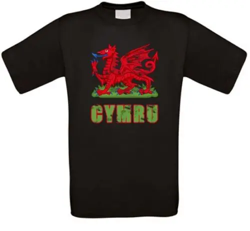 Wales Cymru Cardiff T-Shirt