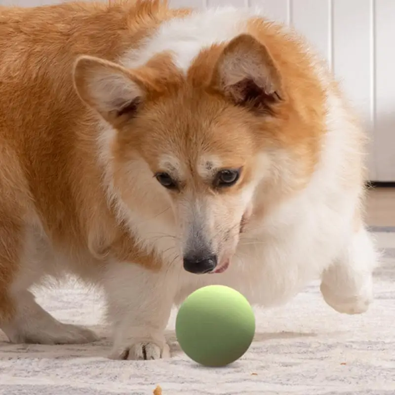 Dog Toy Ball Thrower Anti-slip Handle Tennis Ball Thrower For Small Dog Retractable Ball Throwing Stick Pet Toy Ball Thrower