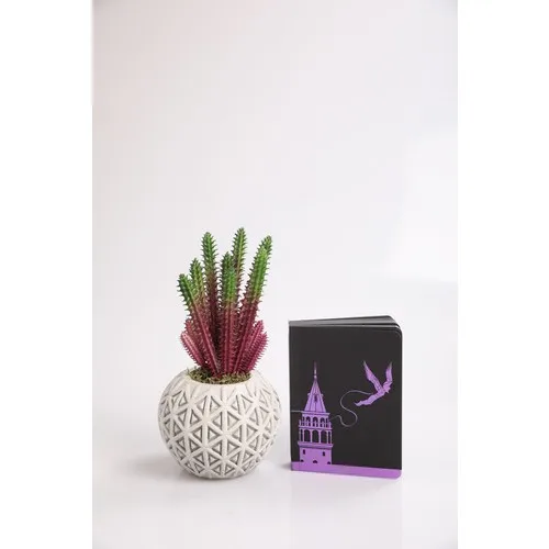 Kibrithane Flower Special Day Concept Sukulent Concrete Plant Pot and Design Notebook KCS0420054