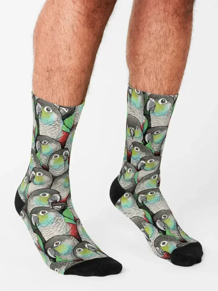 Crimson-bellied Conures Socks basketball winter thermal Christmas floor Socks For Men Women's