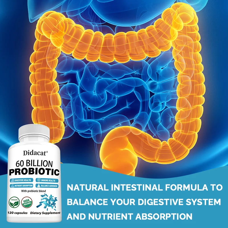 Probiotic Supplements Balance Cholesterol, Support Digestive, Gut and Immune Health, and Improve Nutrient Absorption