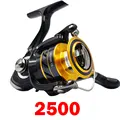 2500
