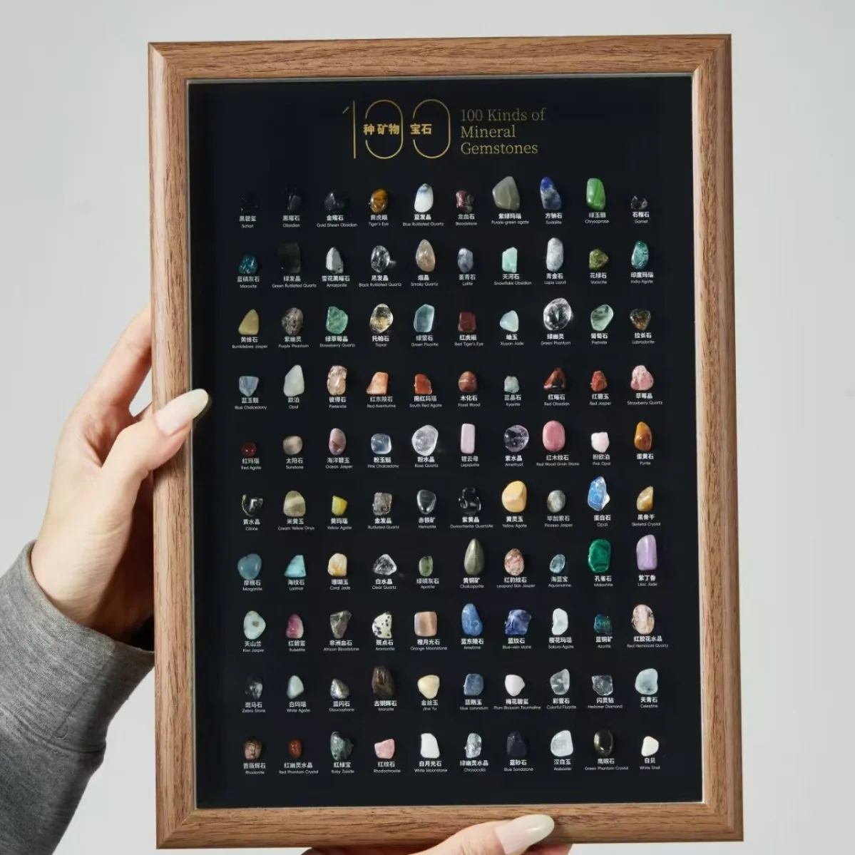 

Super 12-inch original 100 kinds of natural ore specimens combination photo frame ornament natural stone science children