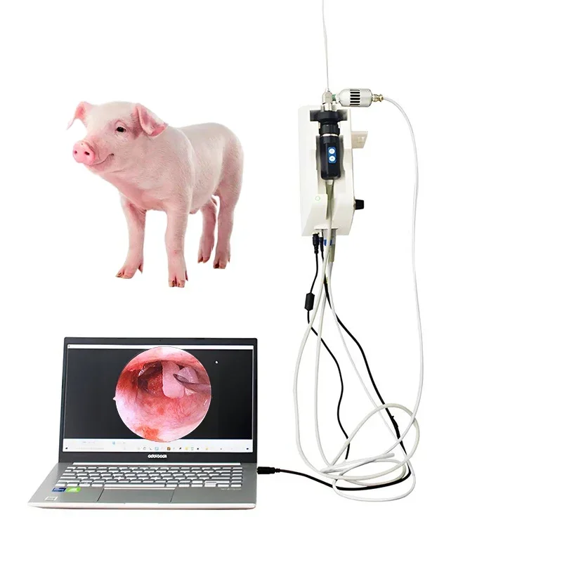 Otoscopio HD professionale medico industriale Sistema endoscopio per ispezione otorinolaringoiatrica Telecamera per otoscopio digitale veterinario per uso computer