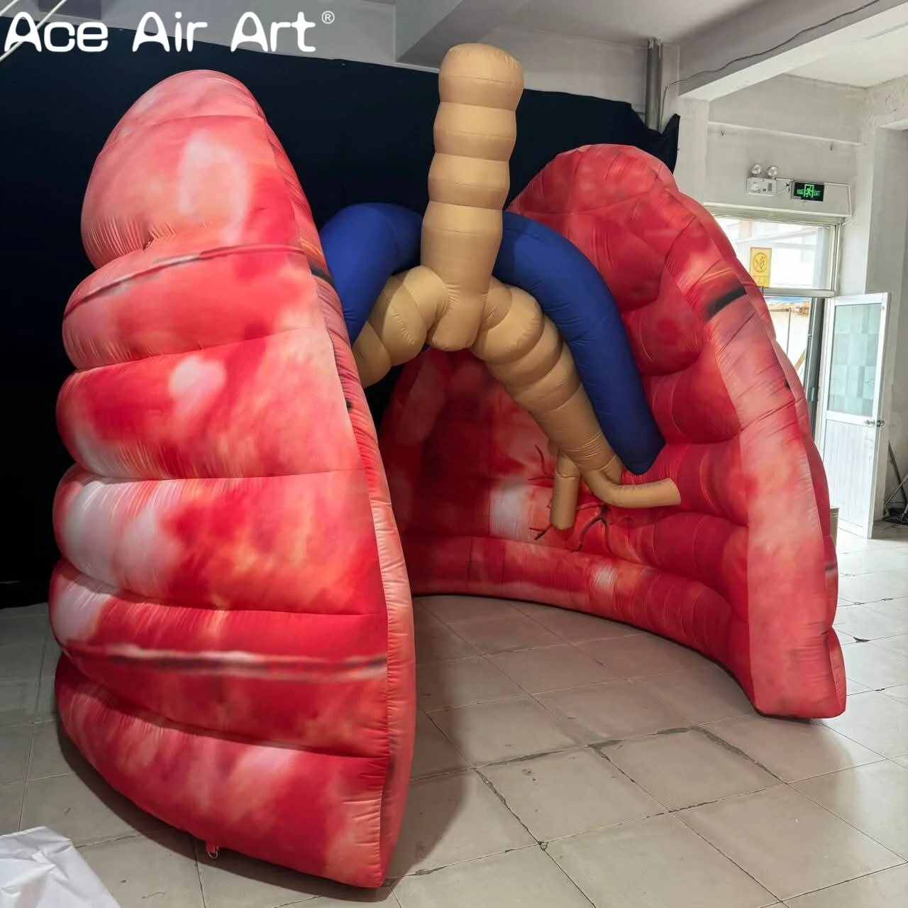 Modèle gonflable réaliste de cœur humain, affichage d'éducation médicale pour les hôpitaux, les clinique et l'apprentissage de l'anatomie